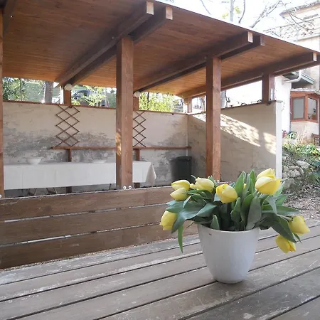 Agriturismo Il Palmarone