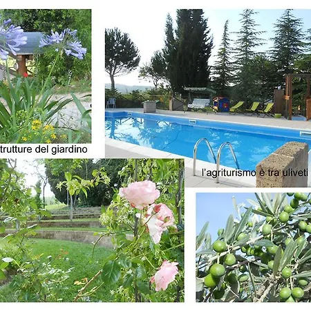 Agriturismo Il Palmarone Rotella