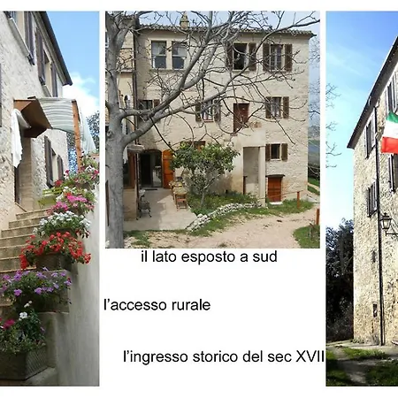 Country house Agriturismo Il Palmarone *