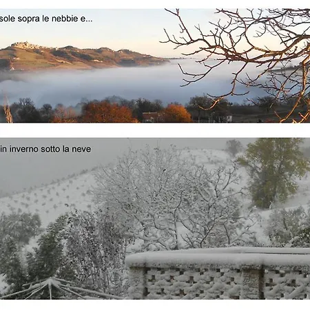 Agriturismo Il Palmarone Landhuis *