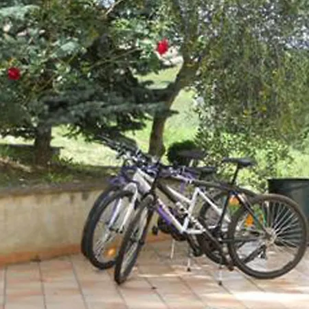 Agriturismo Il Palmarone Rotella